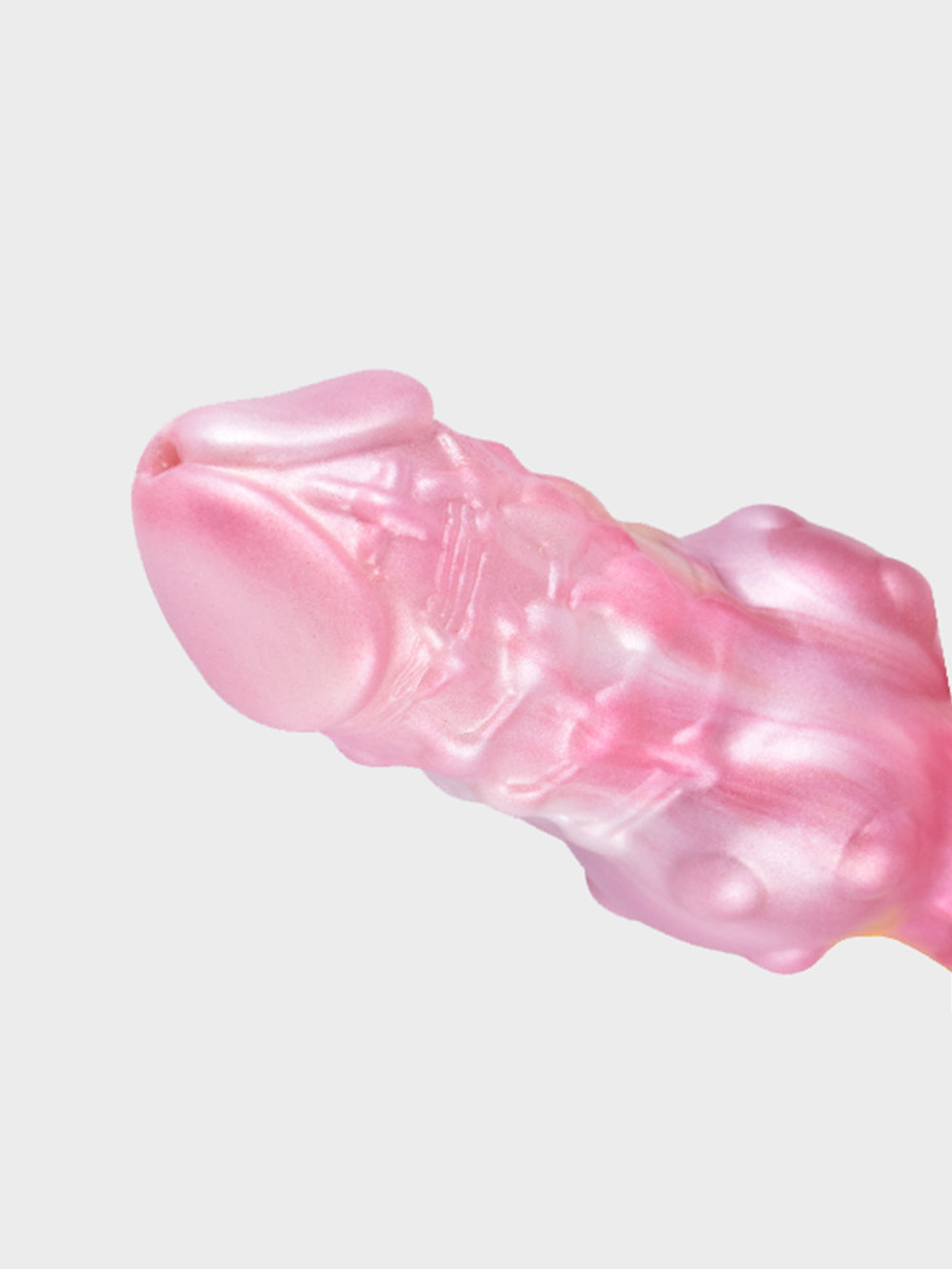 Ribbed Dragon